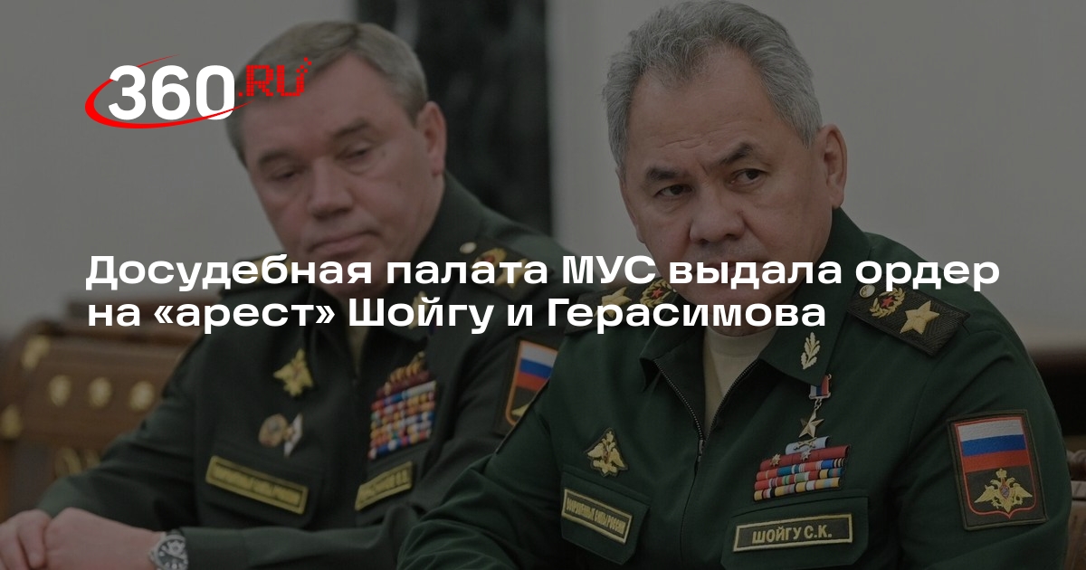 Досудебная палата МУС выдала ордеры на арестШойгу и Герасимова