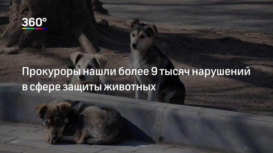 Тысяча нарушить