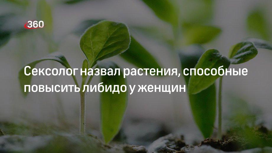 Как менопауза влияет на либидо? — Москва